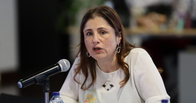 Defensora del Pueblo pide al ELN cesar paro armado y priorizar derechos de comunidades afectadas