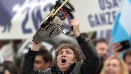 Entre el «milagro irlandés» y la motosierra: un experto del modelo que admira Milei advirtió contra su retórica «anti estado»
