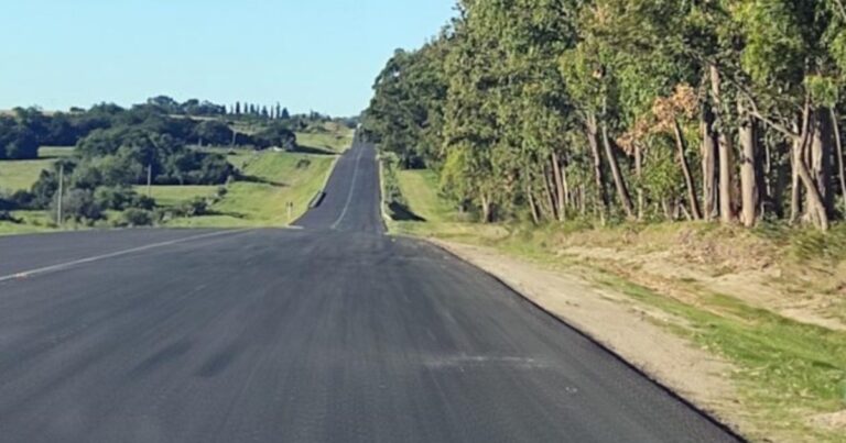 Un joven argentino murió en un accidente en Uruguay: viajaba en un auto que chocó con tres vacas y se estrelló contra un árbol