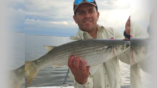 Gigantes lisas de otoño en un pesquero que no falla