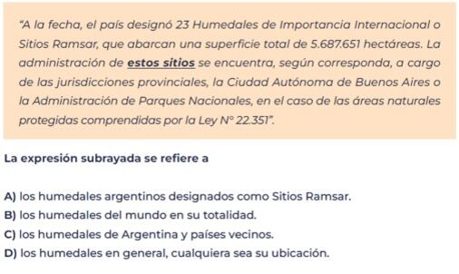 Pruebas Aprender. Qué ejercicios incluyó la evaluación de lengua y cómo les fue a los alumnos