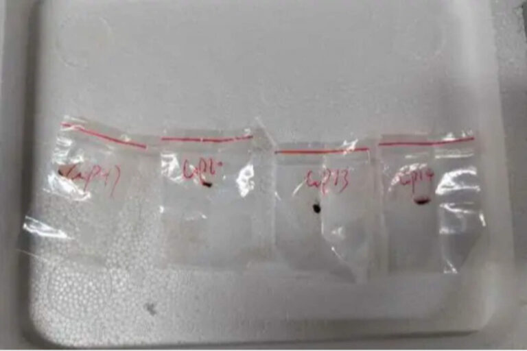 Otro ciudadano chino fue detenido por ingresar material biológico peligroso a EEUU