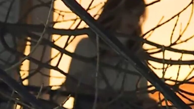 Cristina Kirchner volvió a salir al balcón: esta vez, saludó a docentes y universitarios