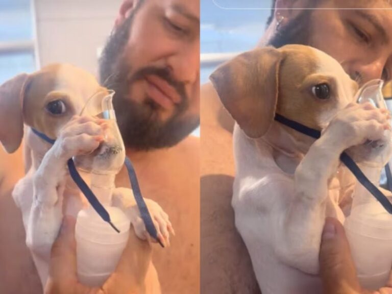 La historia de Tunico, el perrito que se volvió viral por sostener un nebulizador con sus patas