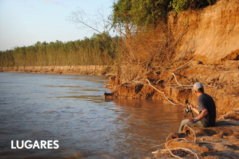 Dejó la ganadería para crear un oasis en el monte que es refugio de cientos de especies