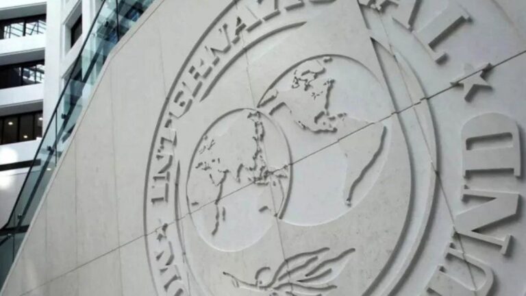 El FMI advirtió que las reservas del Banco Central son «críticamente bajas»