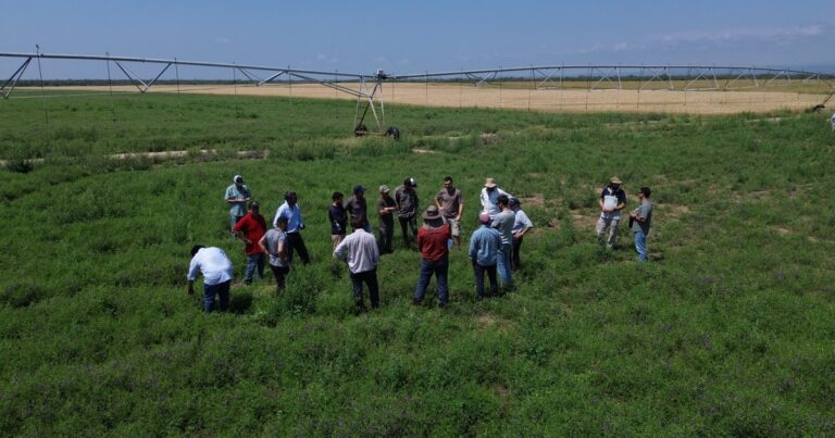 Conectados, a la vanguardia de la nueva agricultura