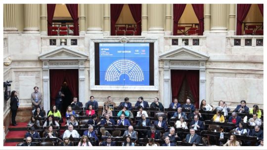 Diputados le dio media sanción a los proyectos de financiamiento universitario y de fondos para el Garrahan