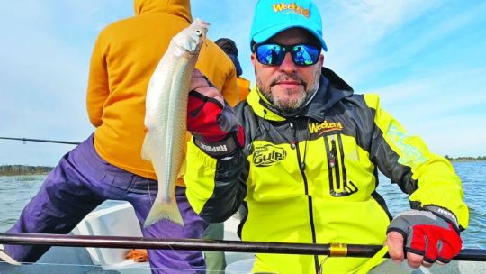 Pejerreyes en cadena: renace un mítico ámbito