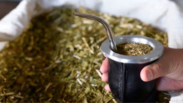 El precio de la yerba mate se derrumba y causa malestar en los productores