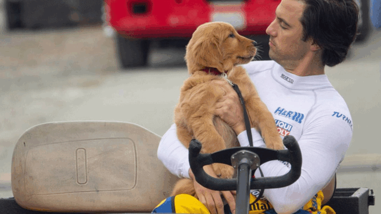 La conmovedora película de Netflix que te hará llorar: si te gustó Marley y Yo no podés dejar de verla