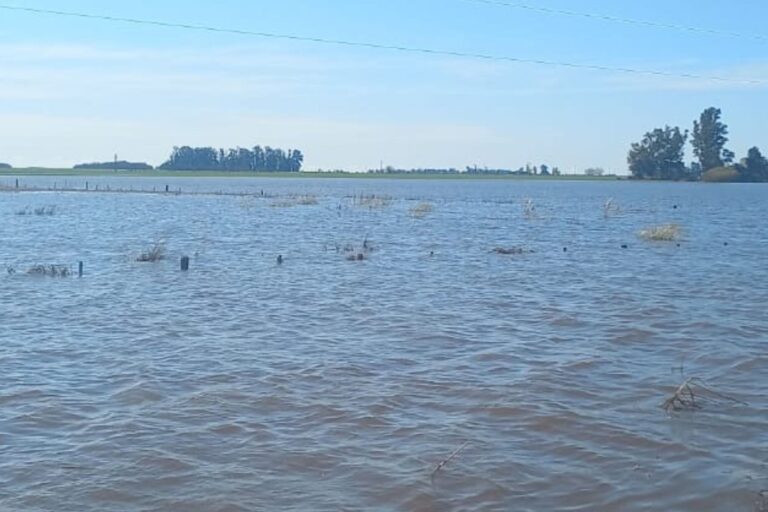 Es como ver un mar: la tormenta de Santa Rosa dejó una situación de caos en una zona rural