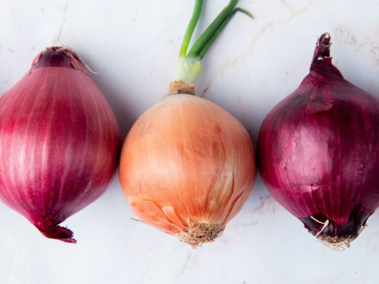 La diferencia que existe entre las cebollas blancas y las moradas