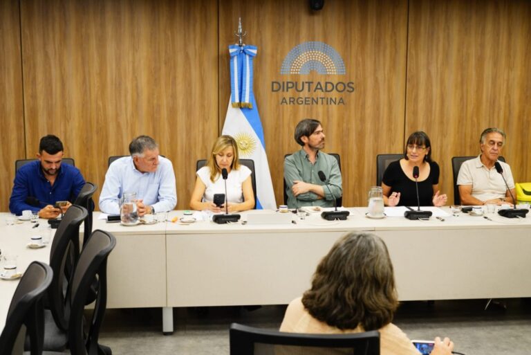Diputados: conversatorio público con ambientalistas contra la ley de Glaciares