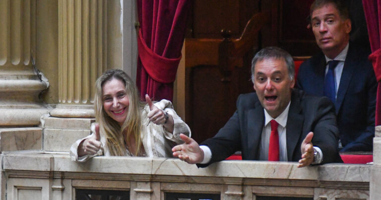 Adorni debutará en Diputados con presión opositora