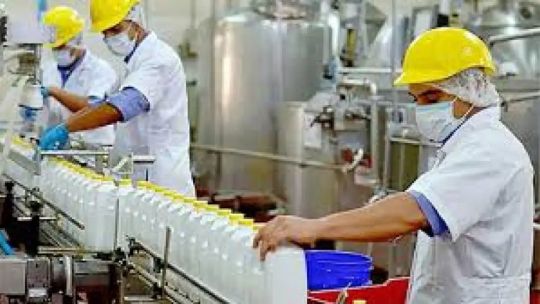Sector lácteo: producción alta, consumo interno débil