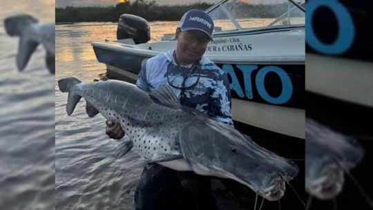 Capturan y liberan un surubí de 43 kilos en Esquina