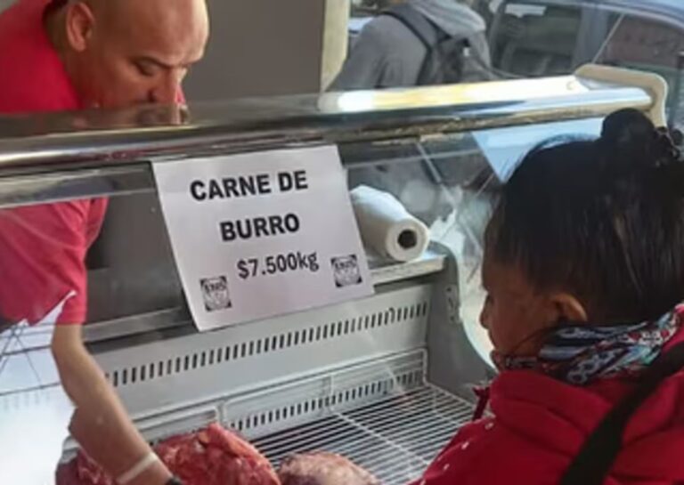 Cortes de carne de burro expuestos en una carnicería de Trelew, Chubut.