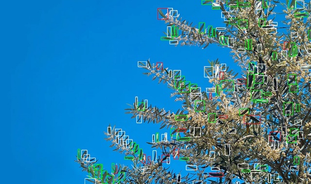 Robot con inteligencia artificial para control de plagas en cultivos