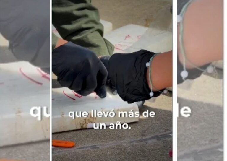 Personal de Gendarmería Nacional custodia fardos de droga incautada en un operativo antidrogas.