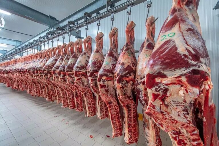 Santiago Debernardi, veterinario y asesor ganadero, durante una entrevista sobre el precio de la carne.